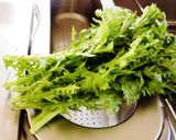 クリームチーズのわさび菜和え作り方1写真