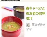 春キャベツと桜海老のお味噌汁作り方5写真