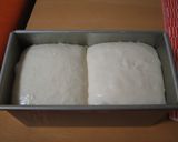 天然酵母のパン(巨峰編)作り方6写真