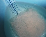 塩麹そぼろde白菜と春雨の中華風旨煮作り方1写真