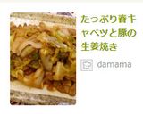 たっぷり春キャベツと豚の生姜焼き作り方8写真