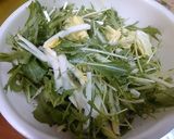 白菜と水菜と油揚げのサラダ作り方1写真