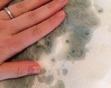 乾燥パセリの作り方作り方3写真