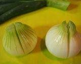 葉っぱも食べる♪葉玉葱（＝葉付き新玉葱）作り方3写真