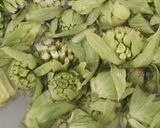 自家製 ふき味噌☆作り方3写真