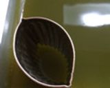 新緑が可愛いダイエット抹茶黒糖寒天ゼリー作り方5写真