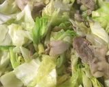 春キャベツと豚肉のネギ塩だれ炒め作り方9写真