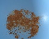 粒マスタードおつまみ型抜きクッキー作り方1写真