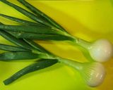 葉っぱも食べる♪葉玉葱（＝葉付き新玉葱）作り方1写真