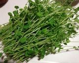 豆苗使い切り☆クルミとセロリしょうゆ炒め作り方1写真