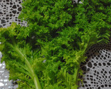 わさび菜とシーフードミックスのかき揚げ作り方1写真