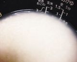 炊飯器とHBで餅つき作り方2写真