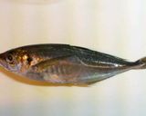 魚料理・鹿児島郷土料理★ふわふわ手作りさつま揚げ作り方1写真