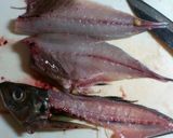 鹿児島郷土料理☆ふわふわ手作りさつま揚げ作り方3写真