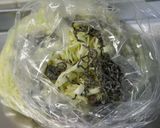 キャベツの塩昆布サラダ作り方1写真