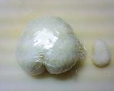 ジブリ❈キャラ弁【ハウルの動く城】ヒン作り方3写真