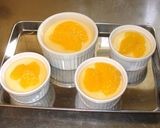はっさくレアチーズケーキ☆ゆずれもん風味作り方10写真