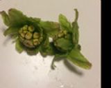 簡単☆ふきみそ作り方1写真