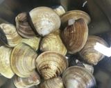 めちゃうま！ハマグリキャベツのワイン蒸し作り方1写真