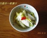 白菜の一夜漬け作り方9写真
