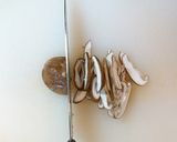超簡単　子供が喜ぶ白菜と豚挽き肉の丼作り方4写真