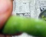 おいしい枝豆の茹で方作り方4写真