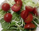 簡単！ぶっかけサラダそうめん作り方1写真