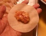 野菜たっぷり我が家の羽根付ジューシー餃子作り方4写真