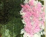 ♥︎レインボーロール♥︎作り方5写真