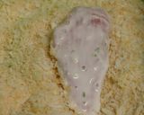 冷めても美味しい!塩麹そぎ切り胸肉カツ作り方3写真