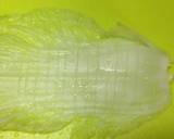 白菜でクルクル厚揚げ巻煮作り方3写真