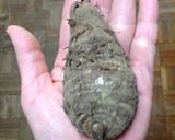 里芋をバルサミコ酢で焼いてみた！作り方1写真