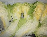 樽漬け白菜作り方3写真