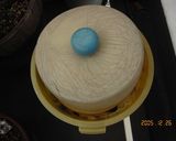 樽漬け白菜作り方10写真