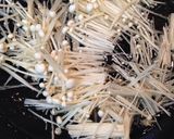 血液さらさら!新玉バーグの中華あんかけ作り方6写真