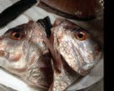 ♪新鮮な鯛のアラで美味しい酒蒸し♪作り方1写真