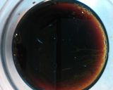三杯鶏(サンベイジー)作り方5写真