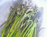 山菜　簡単にわらびのあくぬき作り方1写真