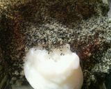 作ってみたかった;芝麻湯圓作り方5写真