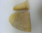 筍とふきと魚の卵のちょっとお洒落な煮物作り方3写真