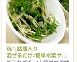祝☆話題入り混ぜるだけ♪簡単水菜サラダ作り方14写真