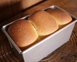 天然酵母のプルーンブレッド作り方9写真