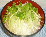 パパのマグロ丼②作り方5写真