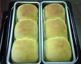 ふわふわ美味しい人参パン作り方5写真