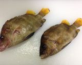 タモリ（セトダイ）の煮付け作り方1写真