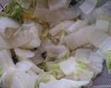 鶏ひき肉と白菜のレンジ蒸し作り方2写真