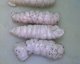 鶏ハム作り方5写真