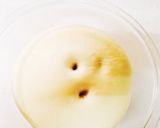 山食２斤（600g）作り方6写真