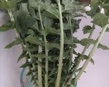 常備菜に＊大根の葉としらすのふりかけ風＊作り方1写真