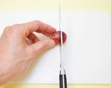 ぶどうの種の取り方作り方1写真
